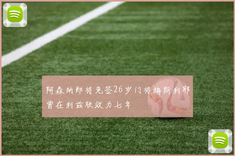 阿森纳即将免签26岁门将梅斯利耶曾在利兹联效力七年